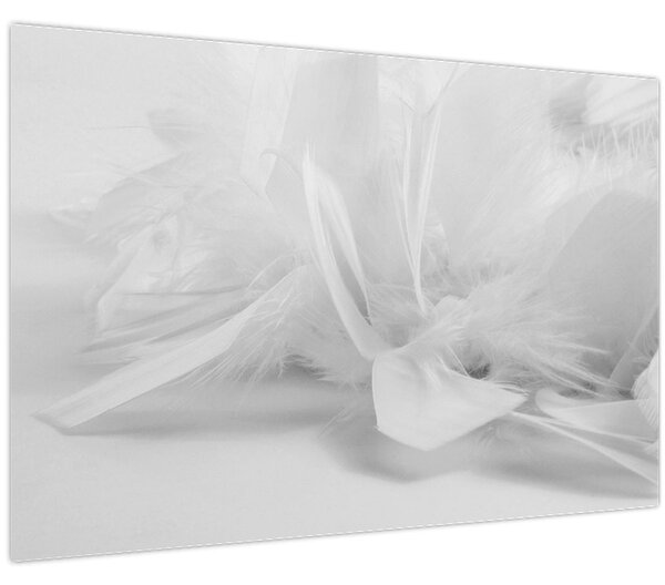 Slika - Perje (90x60 cm)