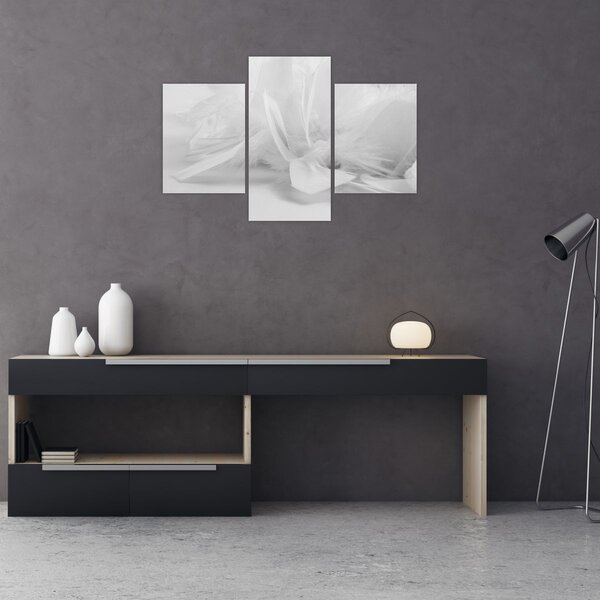 Slika - Perje (90x60 cm)