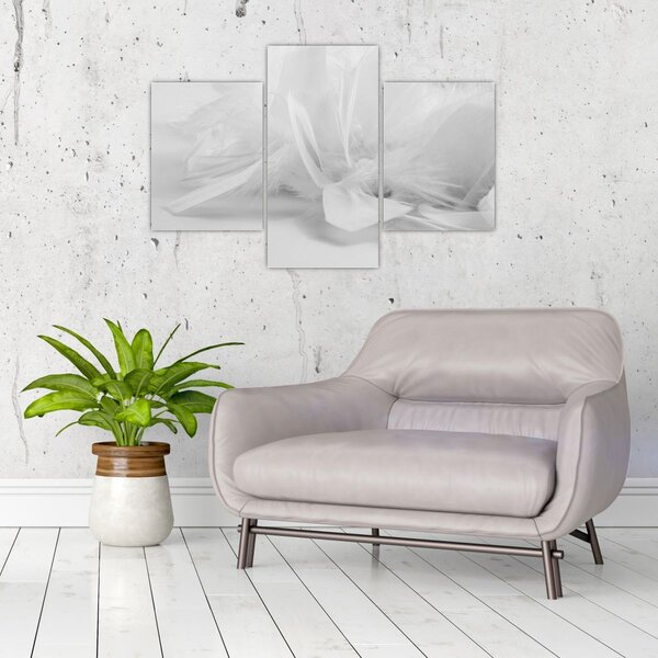 Slika - Perje (90x60 cm)