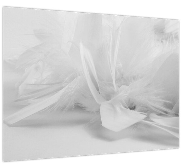 Slika - Perje (70x50 cm)