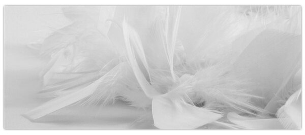 Slika - Perje (120x50 cm)