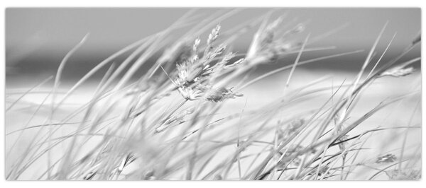 Slika - Trava za plažu (120x50 cm)