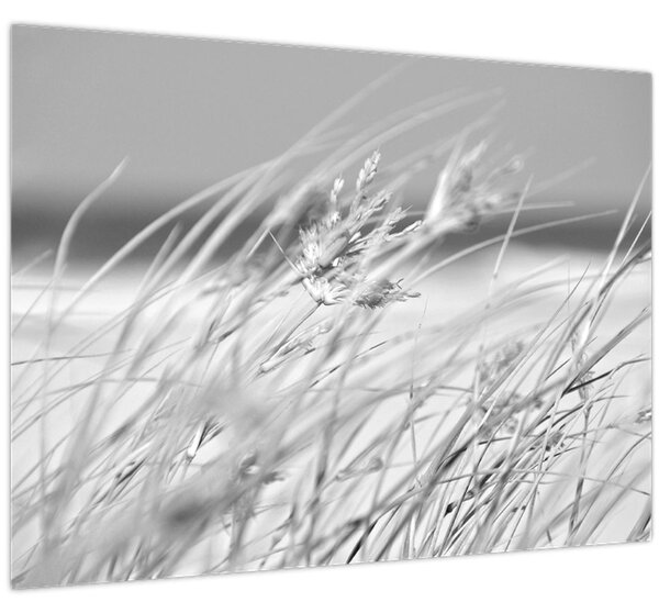 Slika - Trava za plažu (70x50 cm)