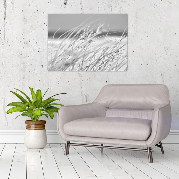 Slika - Trava za plažu (70x50 cm)
