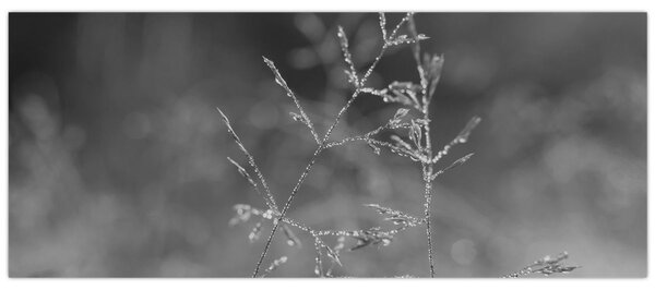 Slika - Seoska livada (120x50 cm)