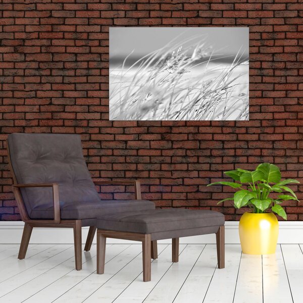 Slika - Trava za plažu (90x60 cm)