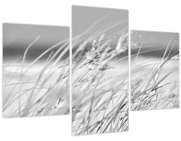 Slika - Trava za plažu (90x60 cm)