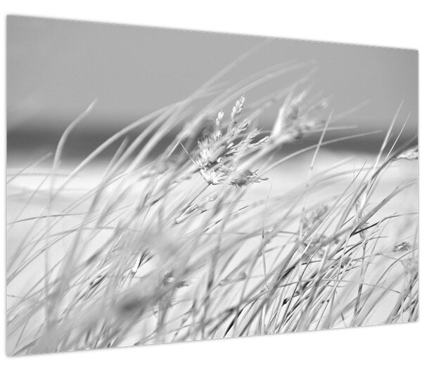 Slika - Trava za plažu (90x60 cm)