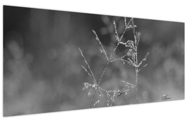 Slika - Seoska livada (120x50 cm)