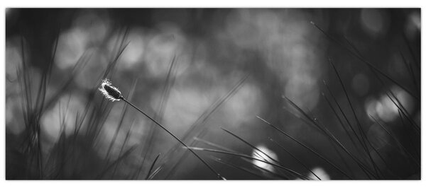 Slika - Livadarka (120x50 cm)