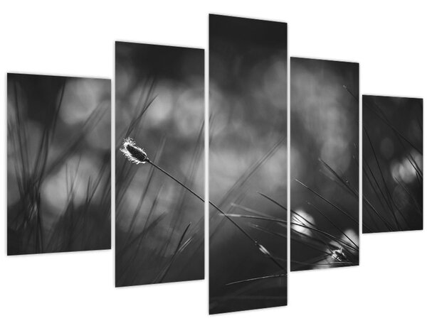 Slika - Livadarka (150x105 cm)