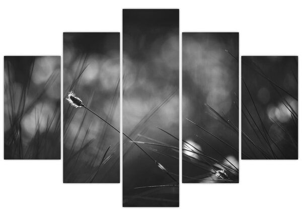 Slika - Livadarka (150x105 cm)