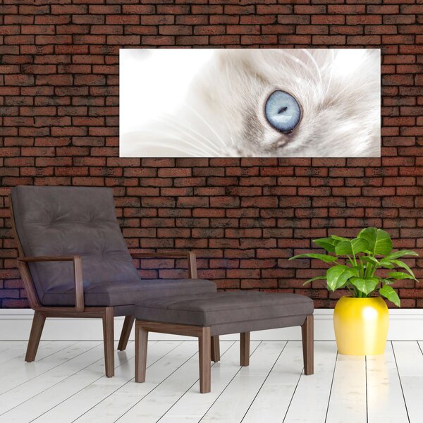 Slika - Mačka s plavim očima (120x50 cm)