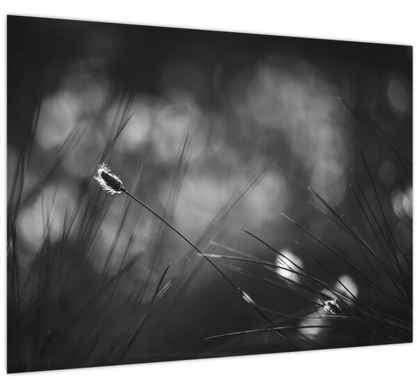 Slika - Livadarka (70x50 cm)