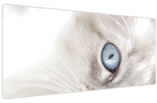 Slika - Mačka s plavim očima (120x50 cm)