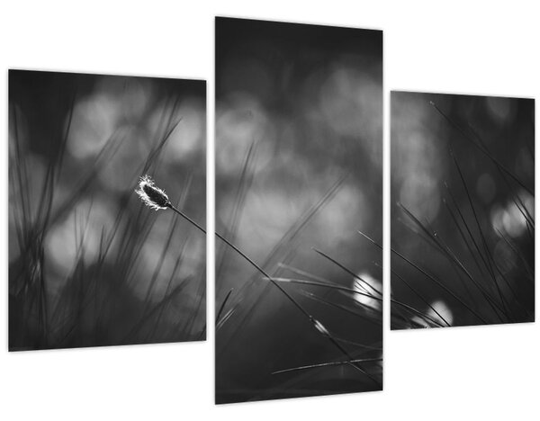 Slika - Livadarka (90x60 cm)