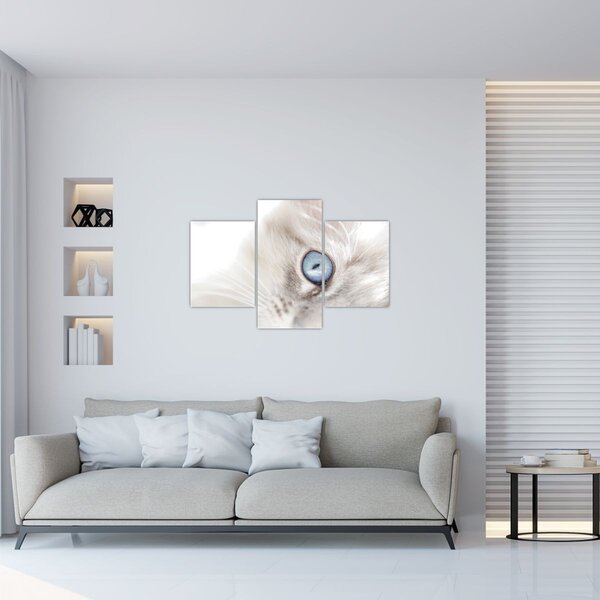 Slika - Mačka s plavim očima (90x60 cm)