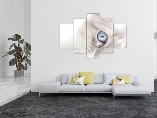 Slika - Mačka s plavim očima (150x105 cm)