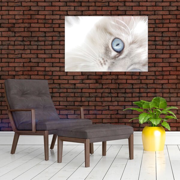Slika - Mačka s plavim očima (90x60 cm)