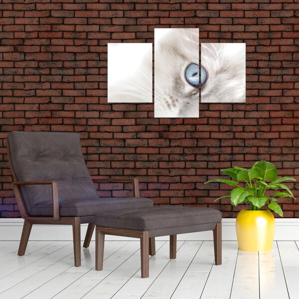 Slika - Mačka s plavim očima (90x60 cm)