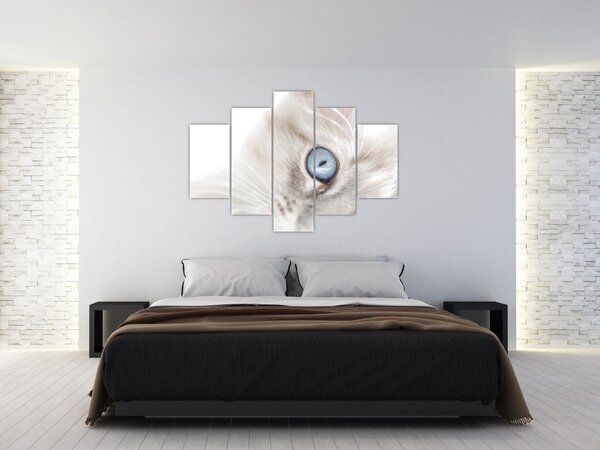Slika - Mačka s plavim očima (150x105 cm)