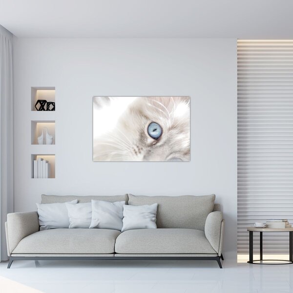 Slika - Mačka s plavim očima (90x60 cm)