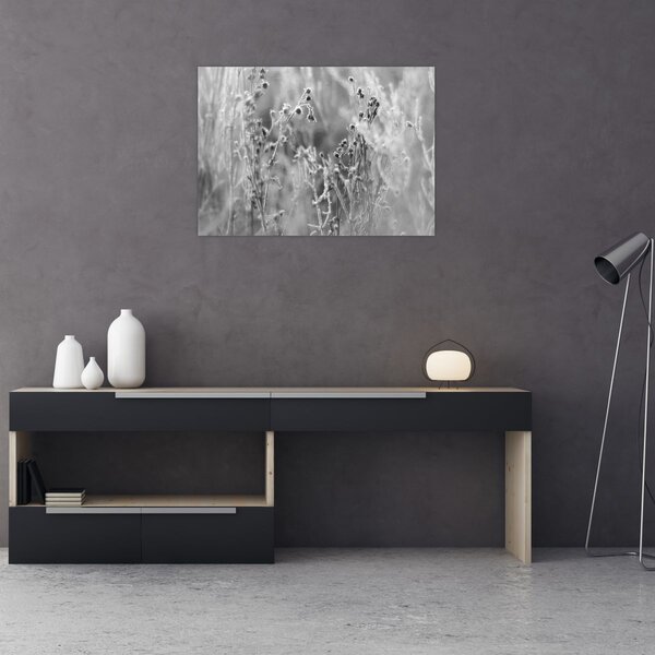 Slika - Divlja livada (70x50 cm)