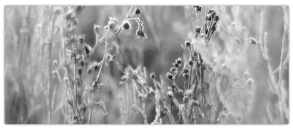 Slika - Divlja livada (120x50 cm)