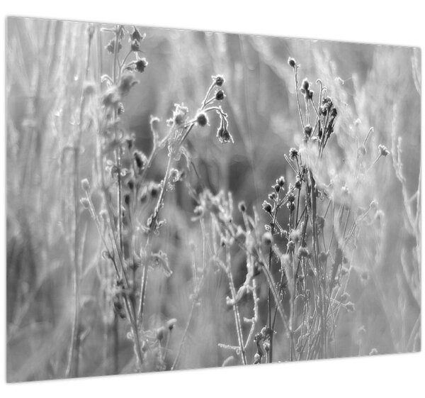 Slika - Divlja livada (70x50 cm)
