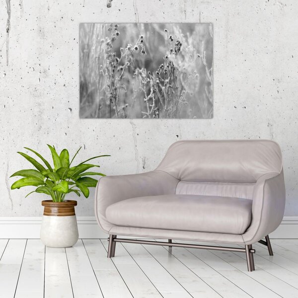 Slika - Divlja livada (70x50 cm)