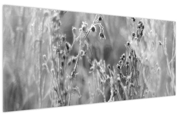 Slika - Divlja livada (120x50 cm)