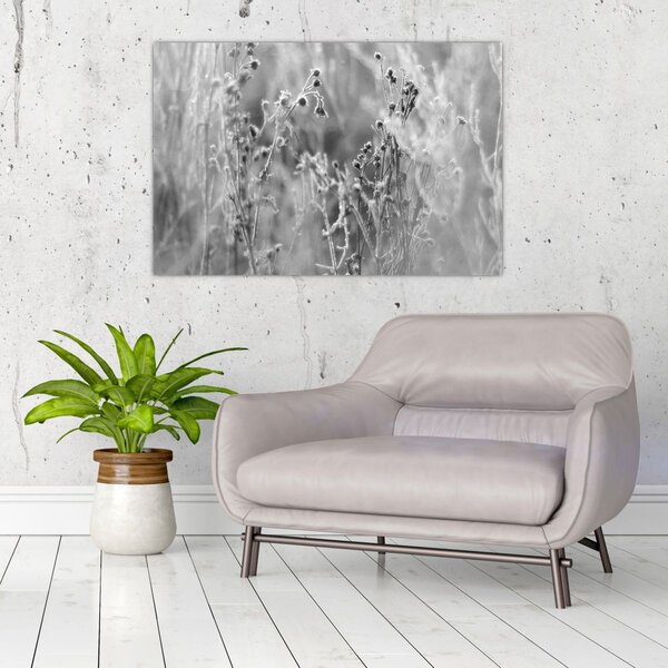 Slika - Divlja livada (90x60 cm)