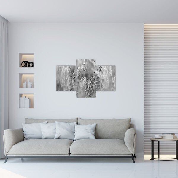 Slika - Divlja livada (90x60 cm)