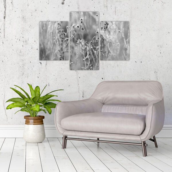 Slika - Divlja livada (90x60 cm)
