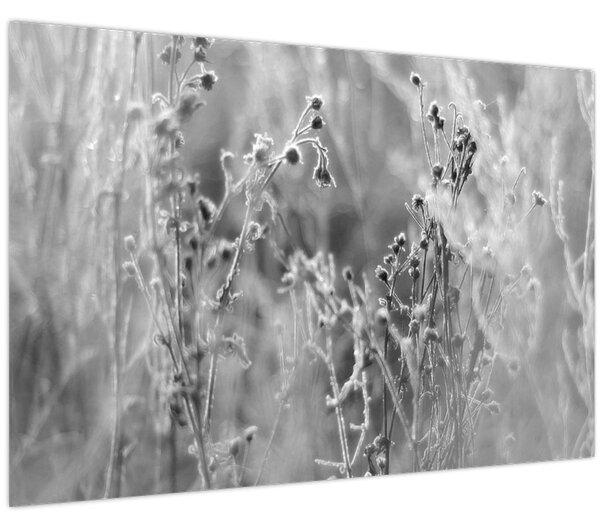Slika - Divlja livada (90x60 cm)
