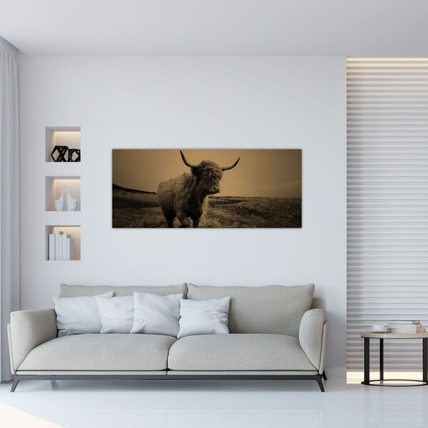 Slika - Škotska krava u bijegu (120x50 cm)