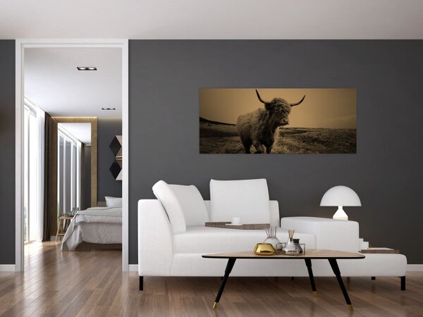 Slika - Škotska krava u bijegu (120x50 cm)
