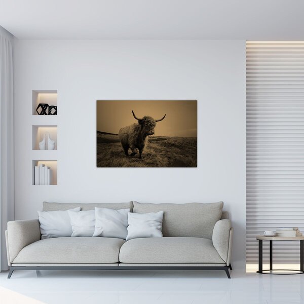 Slika - Škotska krava u bijegu (90x60 cm)