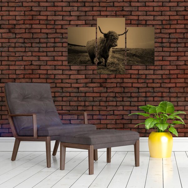 Slika - Škotska krava u bijegu (90x60 cm)