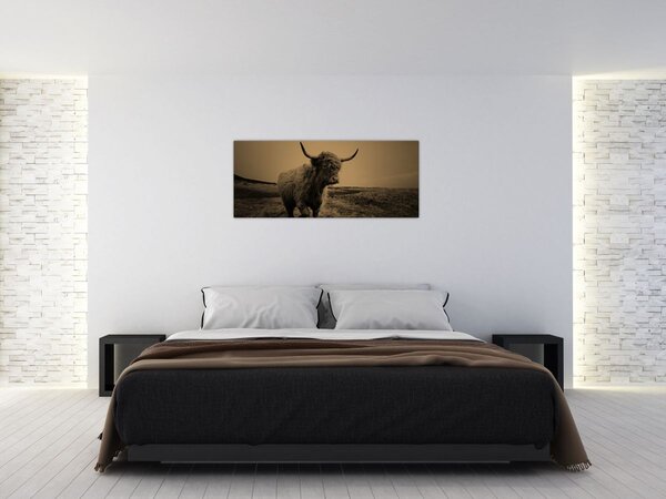 Slika - Škotska krava u bijegu (120x50 cm)