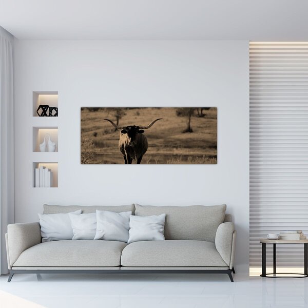 Slika - Teksaška krava (120x50 cm)
