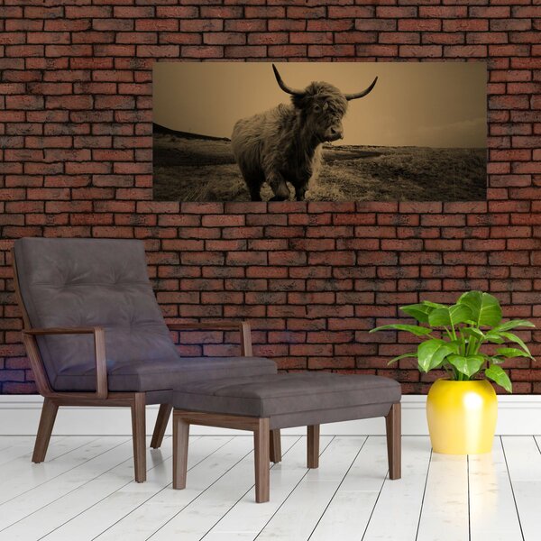 Slika - Škotska krava u bijegu (120x50 cm)