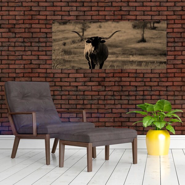Slika - Teksaška krava (120x50 cm)