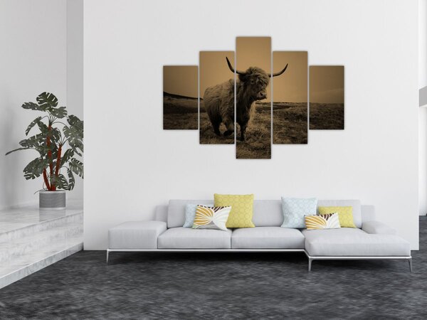 Slika - Škotska krava u bijegu (150x105 cm)