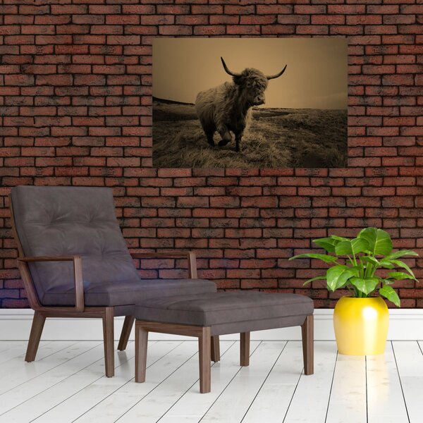 Slika - Škotska krava u bijegu (90x60 cm)