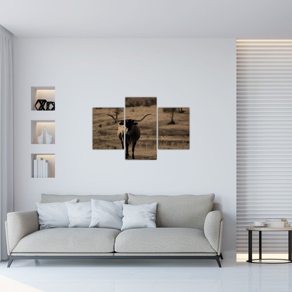 Slika - Teksaška krava (90x60 cm)