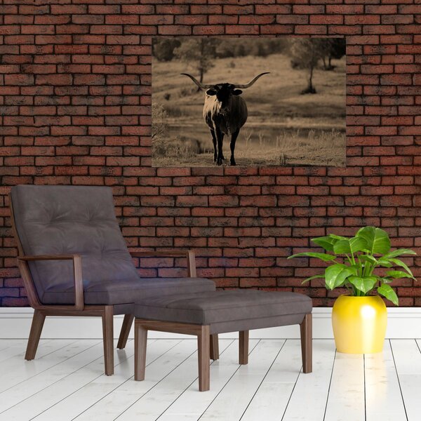 Slika - Teksaška krava (90x60 cm)