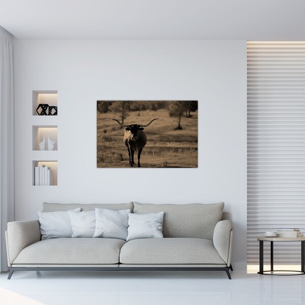 Slika - Teksaška krava (90x60 cm)