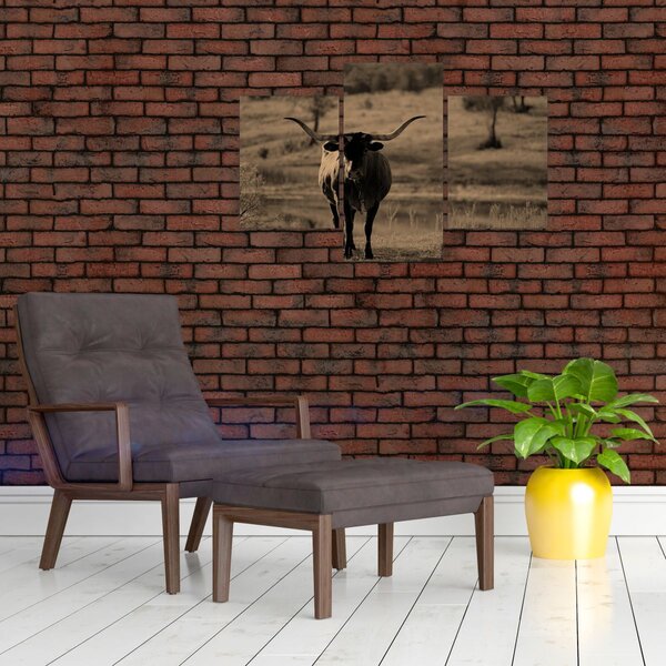 Slika - Teksaška krava (90x60 cm)