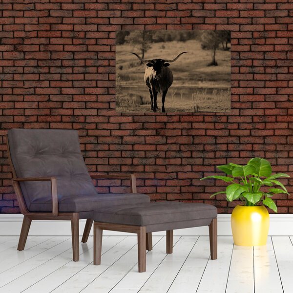 Slika - Teksaška krava (70x50 cm)